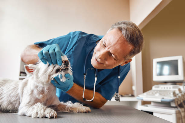 Best Urgent Care for Lost Fillings or Crowns in Del Rio, CA